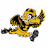 6-8Vzp_3idc-channel-avatar-No Huddle Hawkeyes