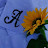 @AmalFarouk-b3v