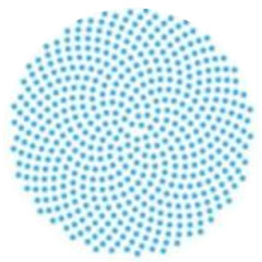 Global Parliament of Mayors