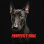 Pawfectly Viral 🐾🐾 logo