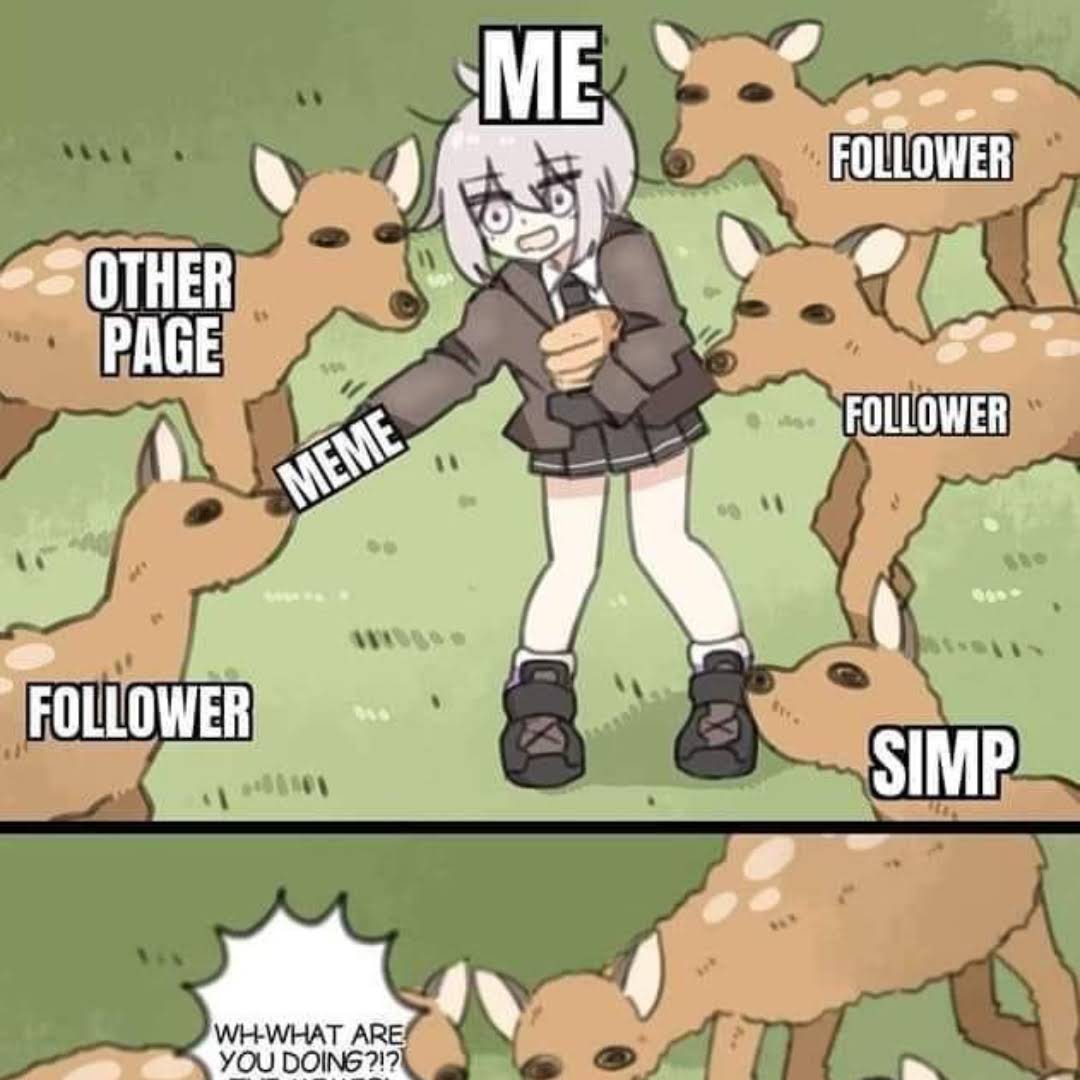 Post from WTF memes SA