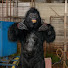 xnxQPvZdFJk-channel-avatar-K.RAJPRANK