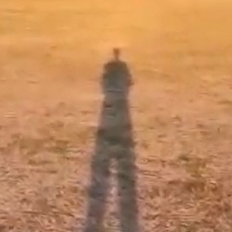 DigiNerd