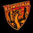 yAYHTZc0rPs-channel-avatar-KGswordman