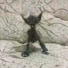 iBY8b0E9xA8-channel-avatar-Estrela kupin :-D