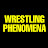 Wrestling Phenomena