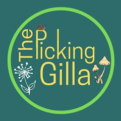 The Picking Gilla Avatar