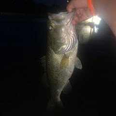 LunkerzOnly