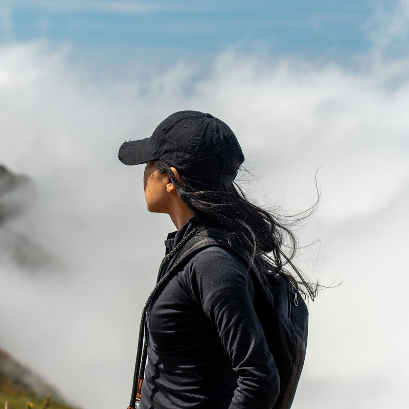 Footsteps to Nowhere