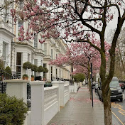 Cherry Blossom Vibes