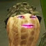 hldoqrT29v4-channel-avatar-BurntPeanut Highlights