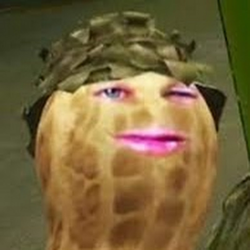 BurntPeanut Highlights Logo