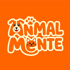 Animalmente Paraguay
