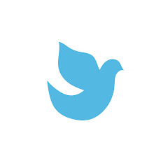 TheTravelDove net worth