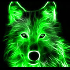 Random and Hilarious Videos