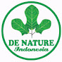 Ivan Agen Denature logo