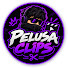 yF3YeJBlVMs-channel-avatar-Pelusa Clips Tc