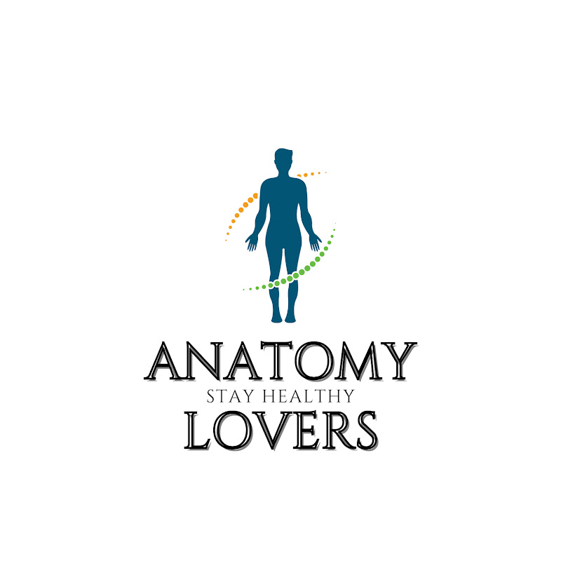 Anatomy lovers