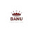 Banu construction 