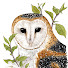 eUjf_Sigey4-channel-avatar-aryalynx
