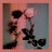 @عشاقالرحمان-س9ض