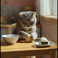 zzsdfアイコン画像
