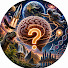 yQoTh-wuNX0-channel-avatar-Curiosity World