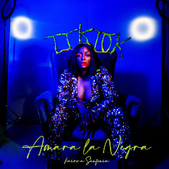 Amara La Negra net worth