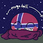 Norgeball Mapping logo