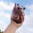 @따봉고양이-r2z
