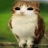 PNlQEuhlujY-channel-avatar-StyroNoOne