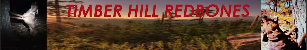 Timber Hill Redbones Awatar kanału YouTube