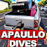 9twYtQWVOTE-channel-avatar-ApaulloDives