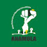 ZuwVO8jchx4-channel-avatar-VIVA ANAMOLA 