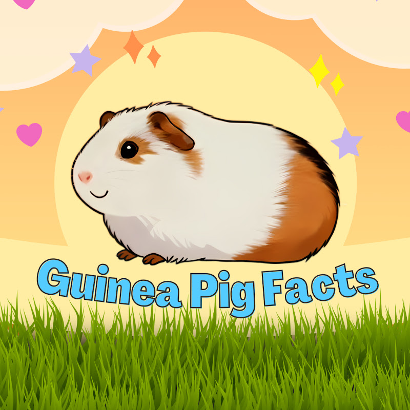 Guinea Pig Facts