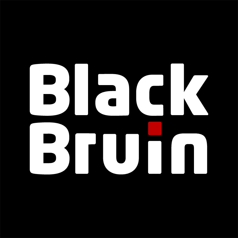 Black Bruin Hydraulic Motors and Rotators