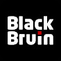 Black Bruin Hydraulic Motors and Rotators