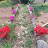 @돌팔이-m6j