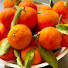 7_MD1U_m69E-channel-avatar-Orchard Abundance