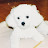 @Yoon_youngsang