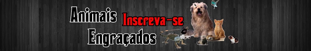 Animais Engracados Avatar de chaîne YouTube