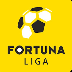 Fotbalové Sestřihy