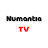 Numantia TV