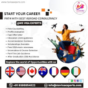 MS VISA EXPERTS