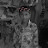 Avatar de @NISHANNishan-j1f