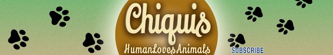 Chiquis Awatar kanału YouTube