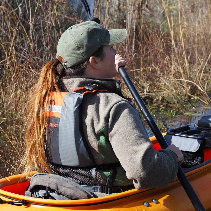 Okefenokee & Satilla Expeditions LLC icon