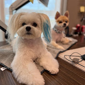 Doglovers