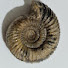 _9ykVxDQc1A-channel-avatar-DJ Fossils