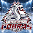 wbImwWhesMI-channel-avatar-Cobras U15 2K12